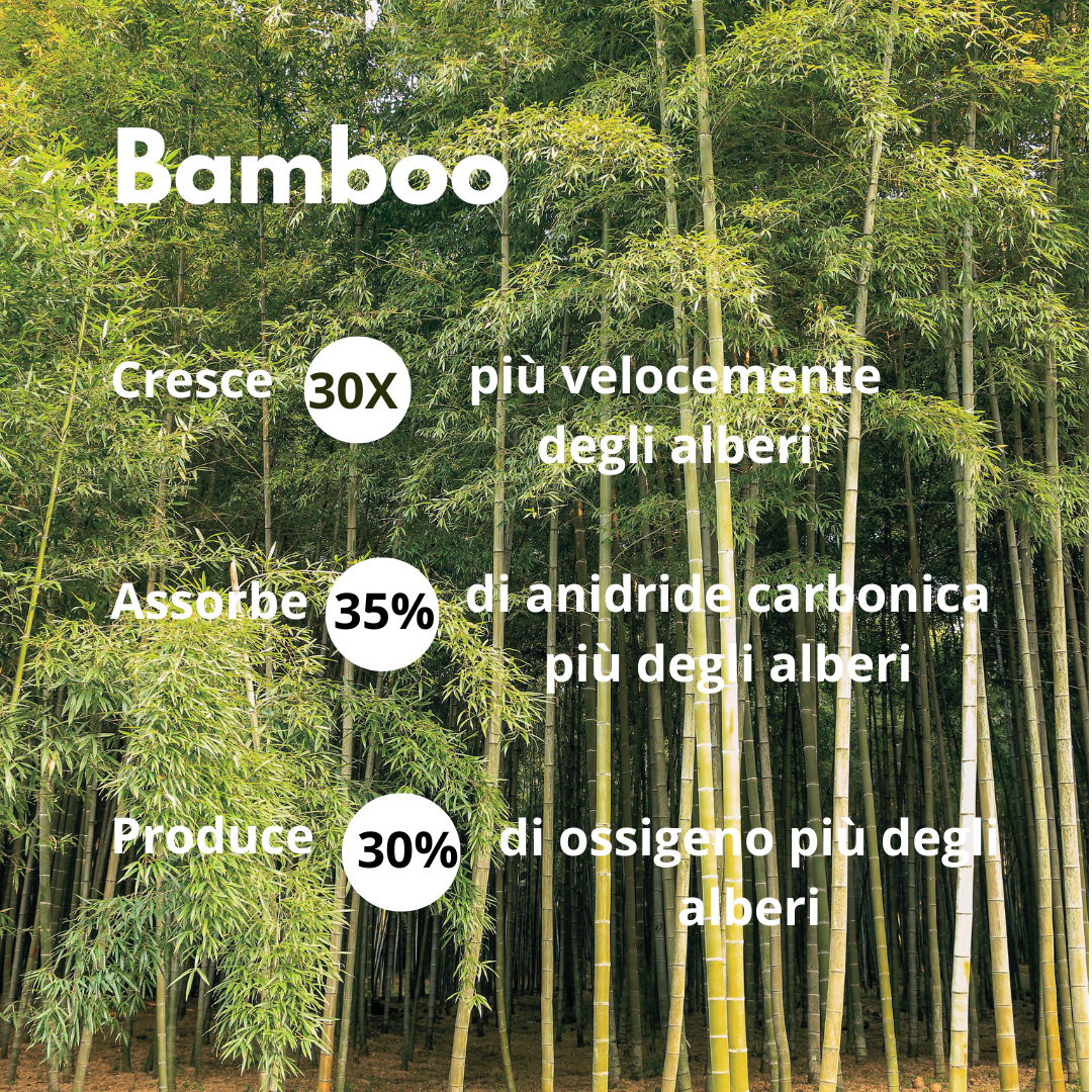 ECO BOOM - Carta Igienica in Bambù - Confezione da 24 rotoli in polpa di bamboo incartati singolarmente